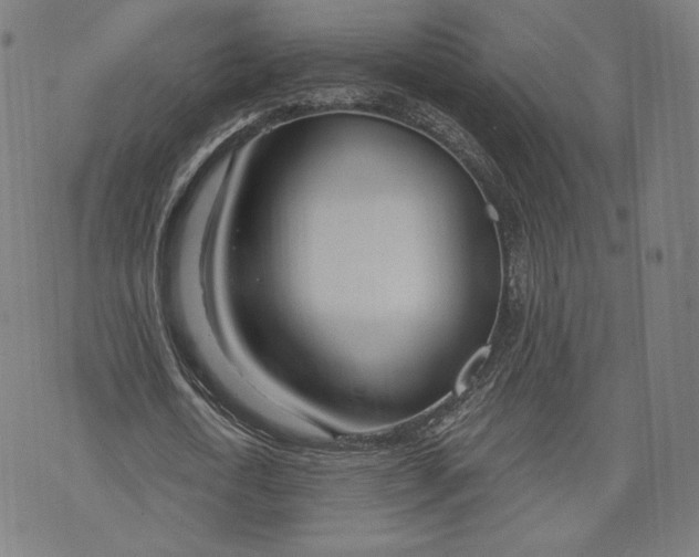 X0000073990722200609111532