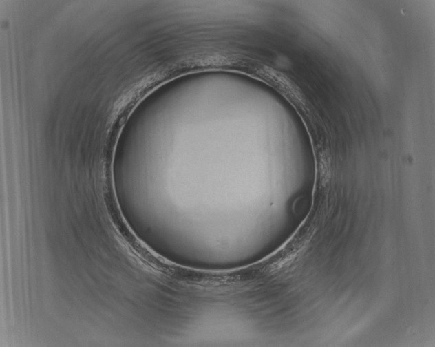 X0000073990725200609111532