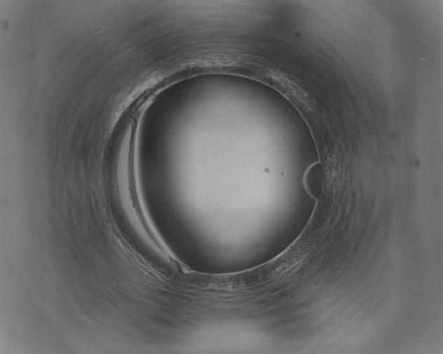 X0000073990727200609111532