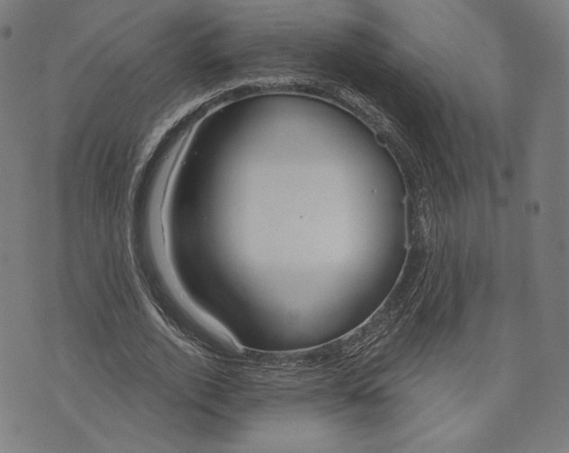 X0000073990728200609111532