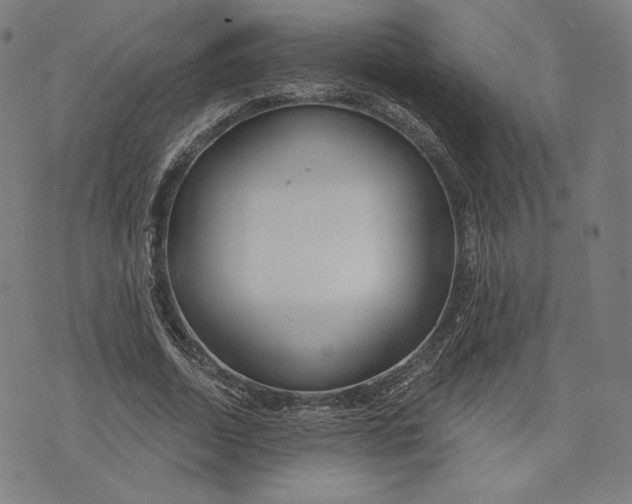 X0000073990730200609111532