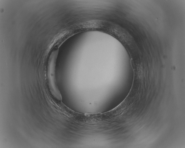 X0000073990731200609111532