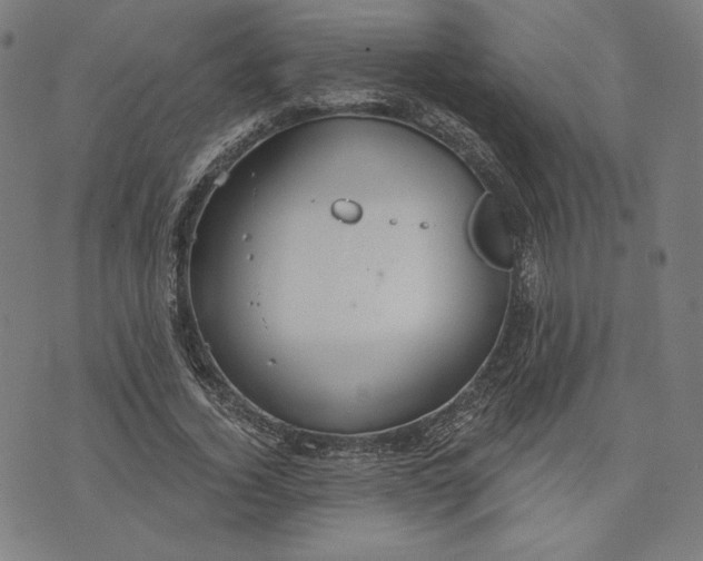 X0000073990732200609111532