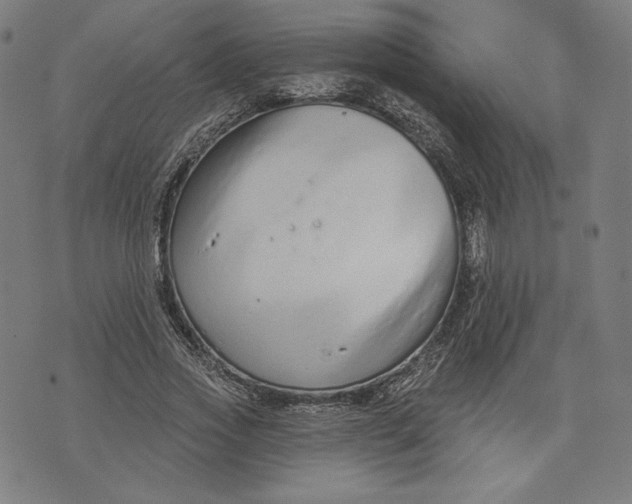 X0000073990733200609111532