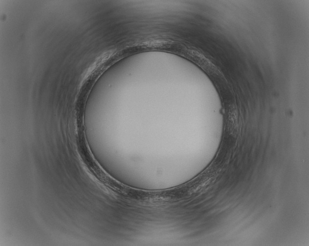 X0000073990734200609111532