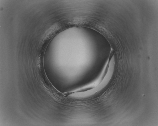 X0000073990735200609111532