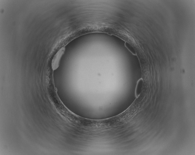 X0000073990736200609111532