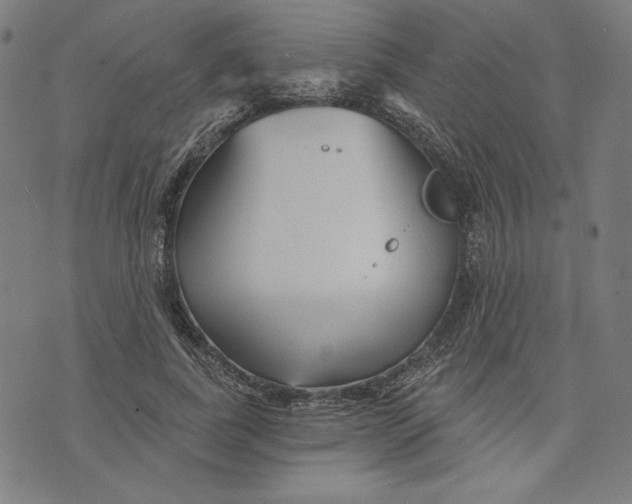 X0000073990739200609111532