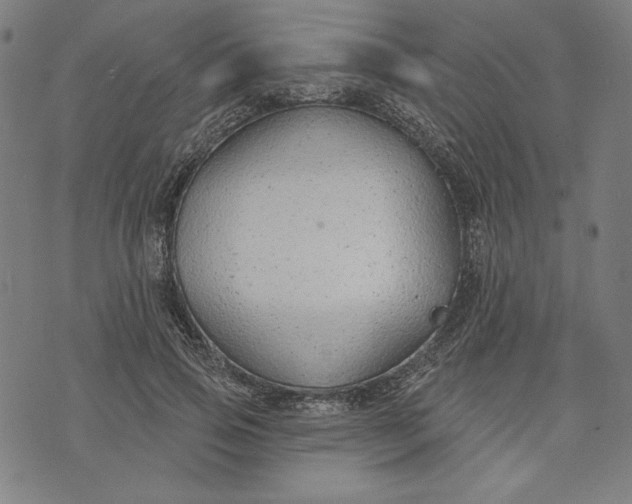 X0000073990741200609111532