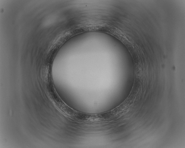 X0000073990742200609111532