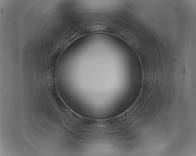 X0000073990743200609111533