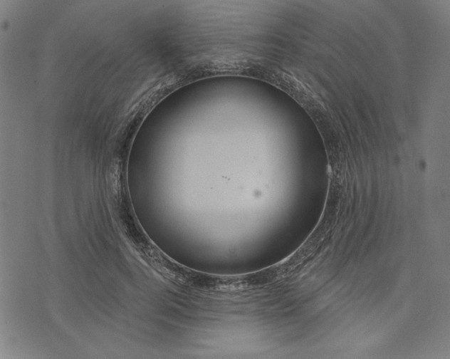 X0000073990744200609111533