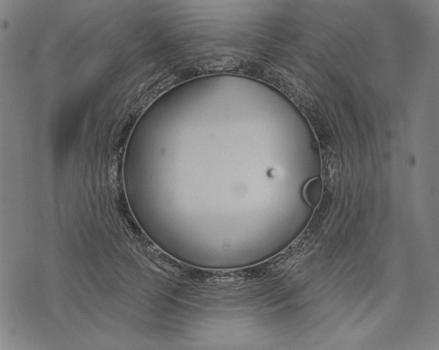 X0000073990745200609111533