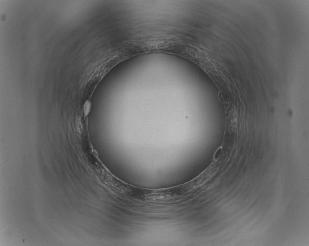 X0000073990746200609111533