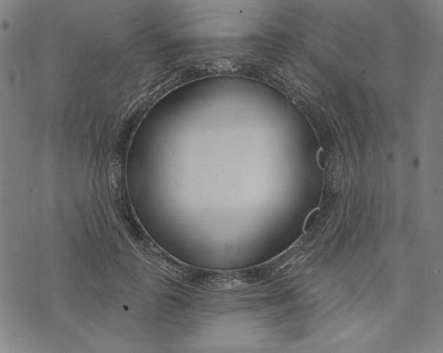 X0000073990747200609111533