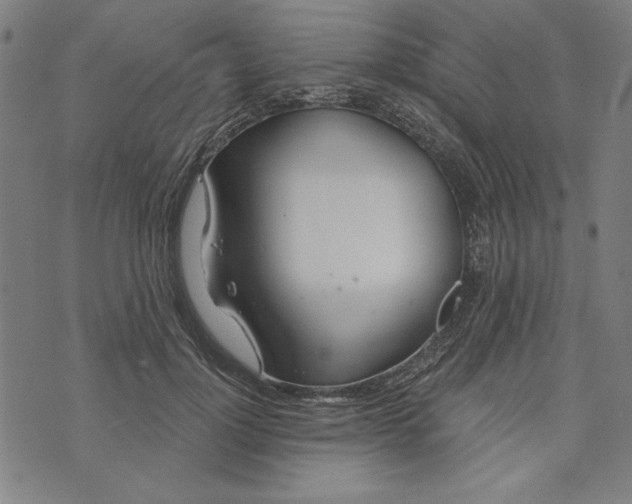 X0000073990748200609111533