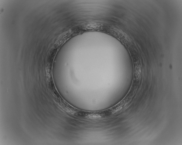 X0000073990749200609111533