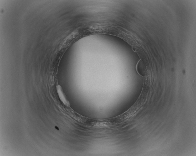 X0000073990751200609111533