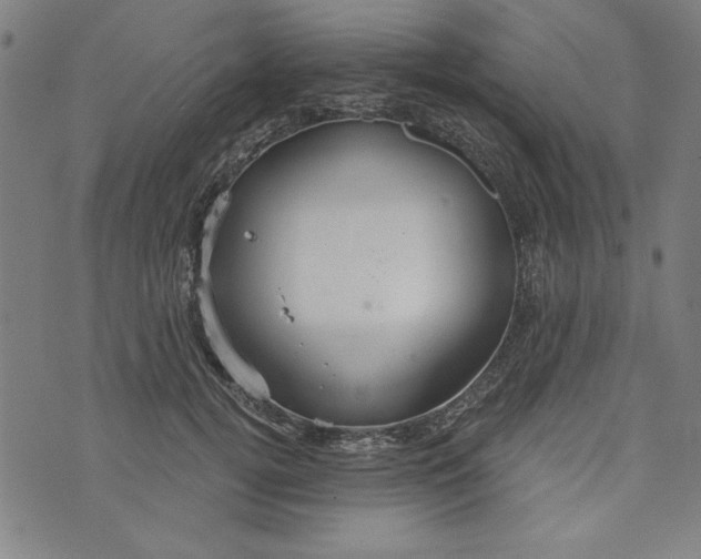 X0000073990752200609111533