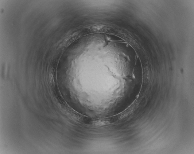 X0000073990754200609111533