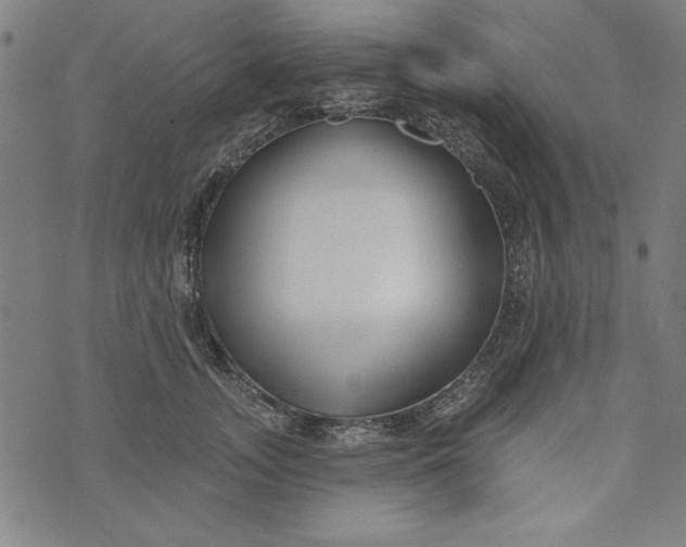 X0000073990755200609111533