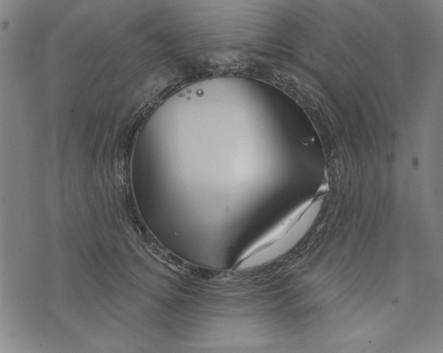 X0000073990756200609111533