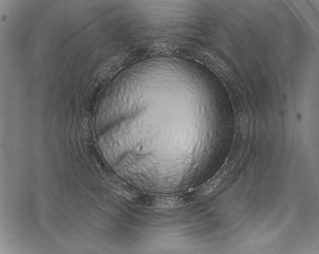 X0000073990757200609111533