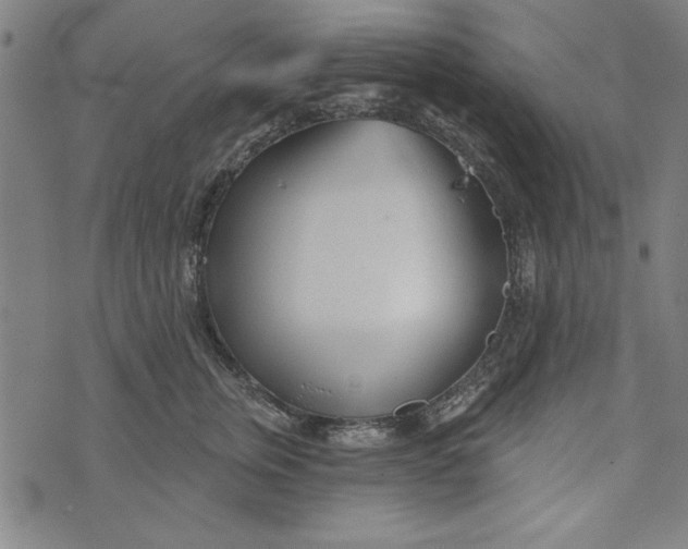 X0000073990759200609111533