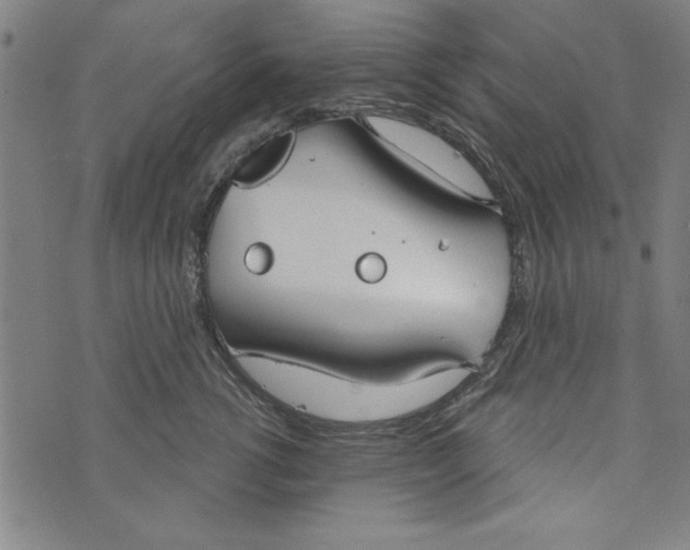 X0000073990762200609111533