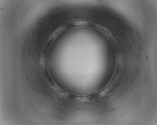 X0000073990763200609111533