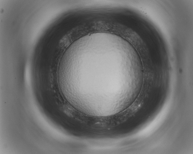 X0000073990765200609111533