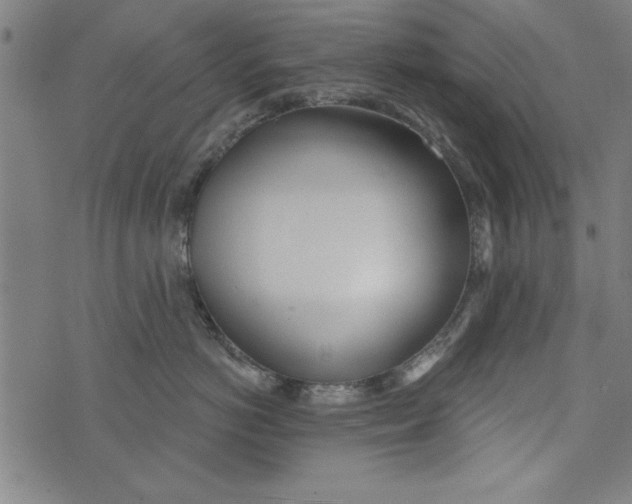 X0000073990766200609111533