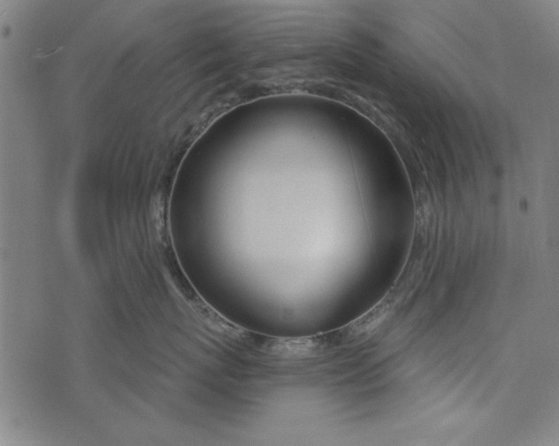 X0000073990767200609111533