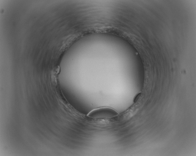 X0000073990768200609111533