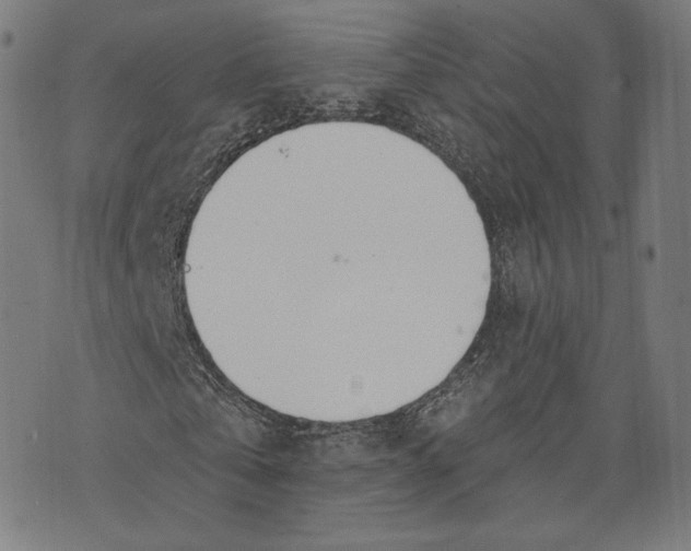 X0000073990769200609111532