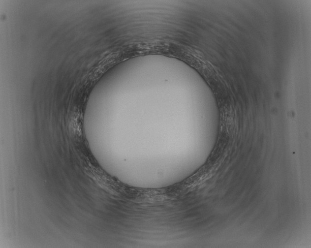 X0000073990770200609111532