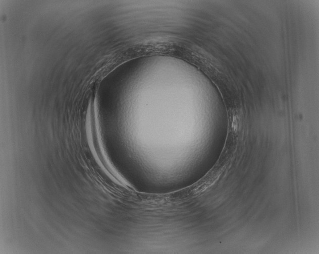 X0000073990771200609111532