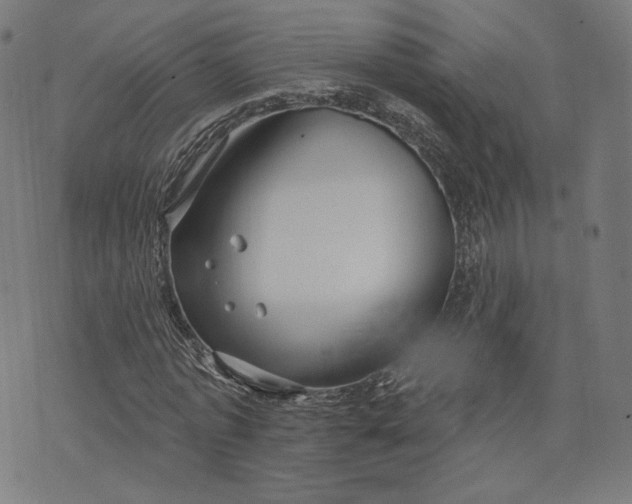 X0000073990773200609111532