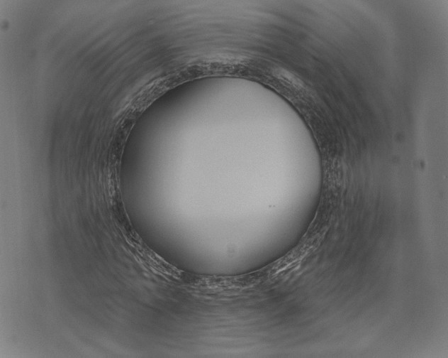 X0000073990774200609111532