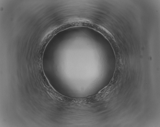 X0000073990775200609111532