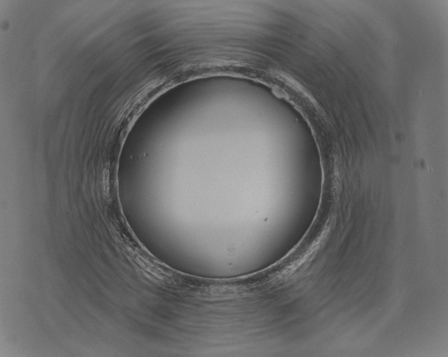 X0000073990777200609111532