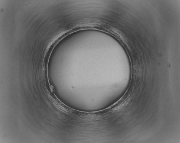 X0000073990779200609111532