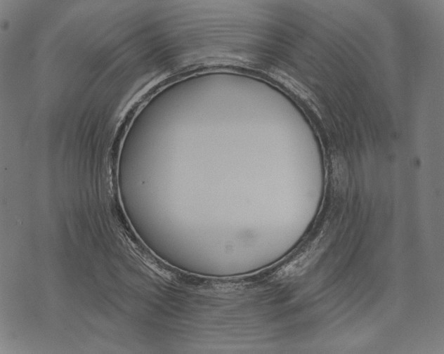 X0000073990782200609111532