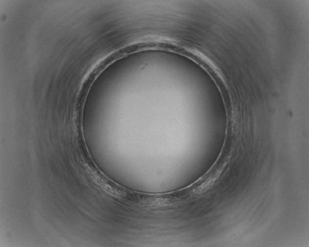 X0000073990783200609111532