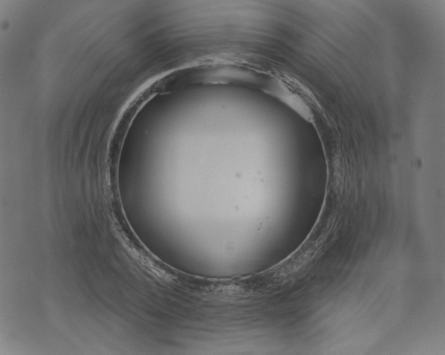 X0000073990784200609111532