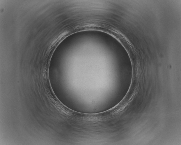 X0000073990785200609111532