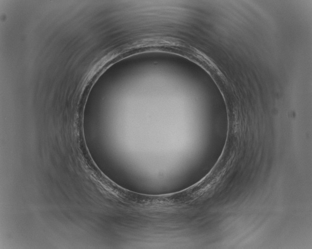 X0000073990786200609111532