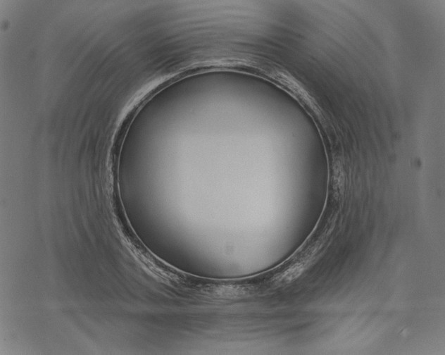 X0000073990787200609111532