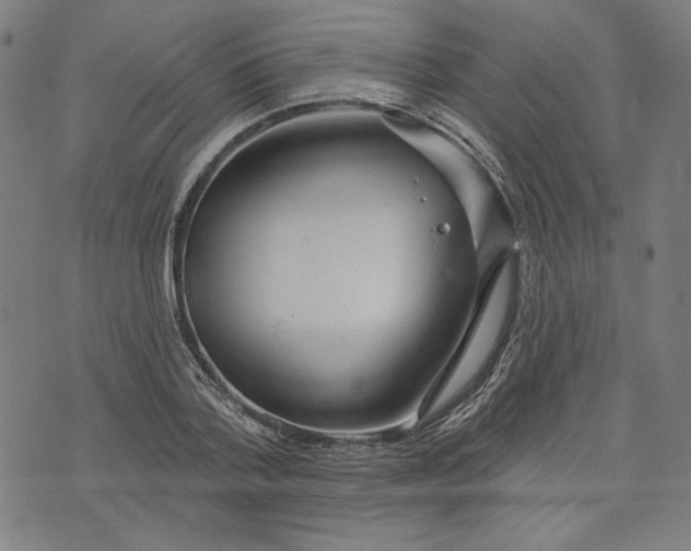 X0000073990788200609111532