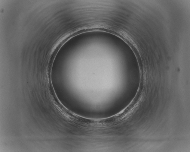 X0000073990789200609111532